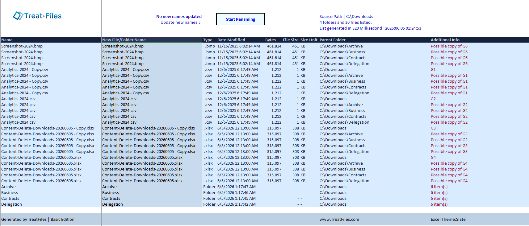 TreatFiles Excel Output